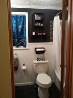 Budget Bathroom Remodel